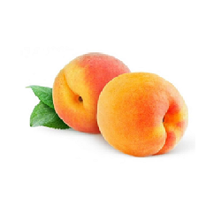 زردآلو اعلا